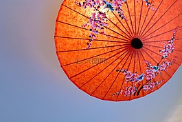 泰国,阳伞,日本