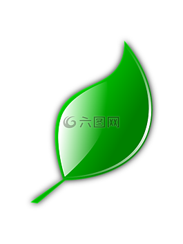 叶,绿色,自然