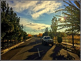 加兹温,宿舍,花园