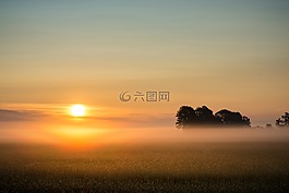 日出,雾,雾银行