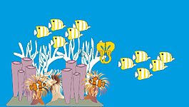 海底,鱼类,海洋