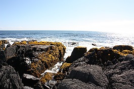 海洋,岩,海岸线