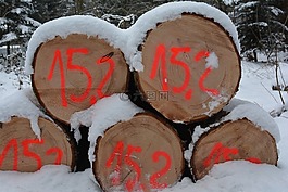 沉淀木,米色,雪