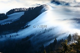 波的雾,雾,nebellandschaft