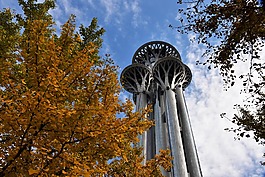 秋天,建筑物,奥林匹克公园