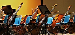 仪器,低音,低音提琴