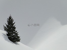雪景,寒冬,不受影响