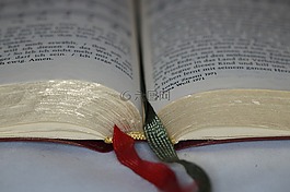 赞美诗,本书,老