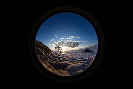树,春天,海