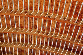 背景,壁纸,阳光