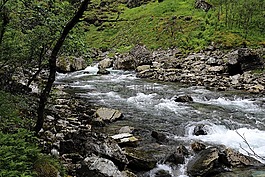 山中的小溪,挪威,野生