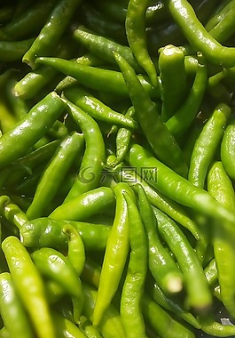 辣椒,蔬菜,绿色