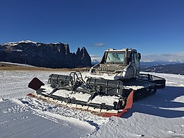 雪,山,猫咪
