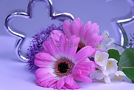 花,开花,招标
