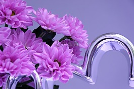 花,德卡,鲜花