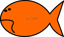 鱼,金鱼,橙色
