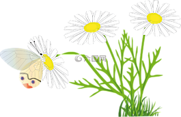 花,蝴蝶,黄色花