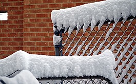 雪,纹理,户外