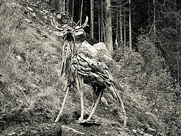 赫尔,森林,草地
