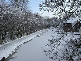雪,运河,冬天
