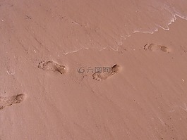 脚印,足迹,痕迹