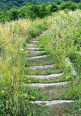 北卡罗莱纳州,山,路径