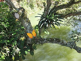 力拓,帕拉伊巴州 do sul,guararema