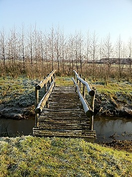 性质,阿默斯福特,踏板绽放