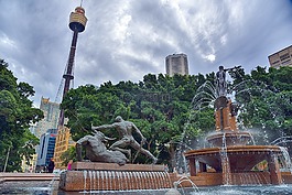 悉尼,城镇居民,公园