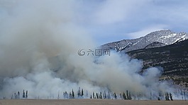 森林火灾,野火,烟