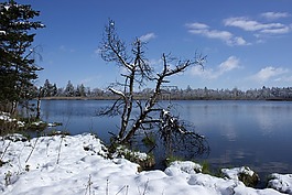 riedsee,系泊,wurzacher芦苇