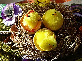 复活节,蛋,鸟巢