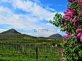 剩下山的,tóti旅馆,山