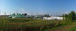 沼气,建筑,植物
