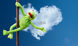 钢管舞,柯,滑稽