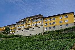 梅尔斯堡,葡萄园,高中