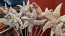 海星,中国食品,中国菜