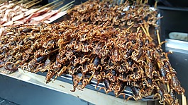 蝎子,中国食品,中国菜