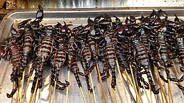 蝎子,食品,街头食品