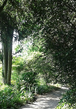 黑森,weinheim,公园