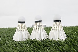 羽毛球,毽,体育