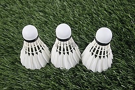 羽毛球,体育,毽