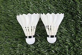 羽毛球,体育,毽