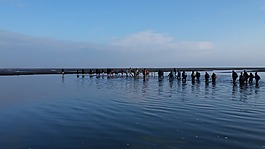 wadlopen,徒步旅行,步行