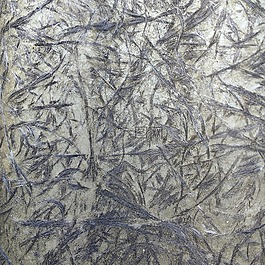 纤维玻璃,玻璃纤维,钢筋