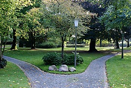 方式,公园,树木