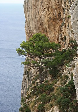 马洛卡,陡峭的斜坡,景观