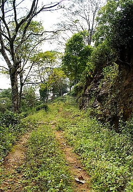 路,二級公路,農村公路