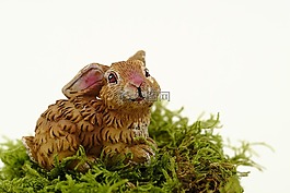 复活节,复活节兔子,复活节庆祝活动