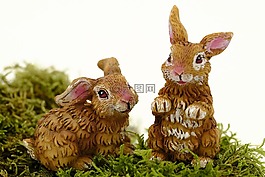 复活节,复活节兔子,复活节庆祝活动